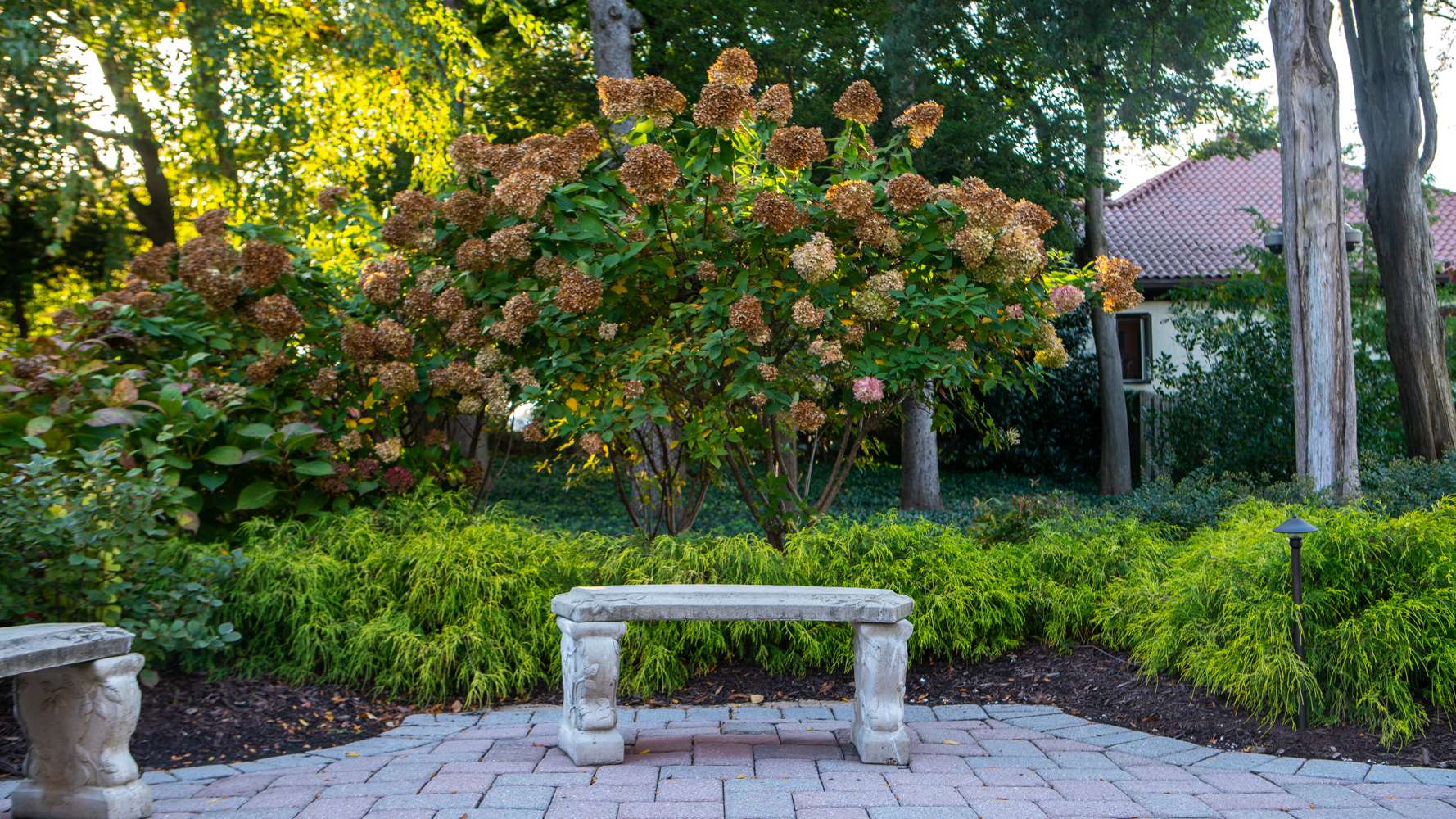 Hiring a Church Groundskeeper vs. a Commercial Landscape Service